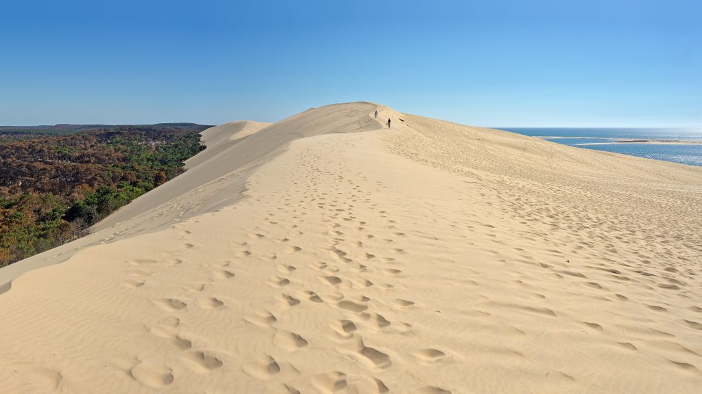 Crête de la dune du Pilat dominant l’océan et la forêt